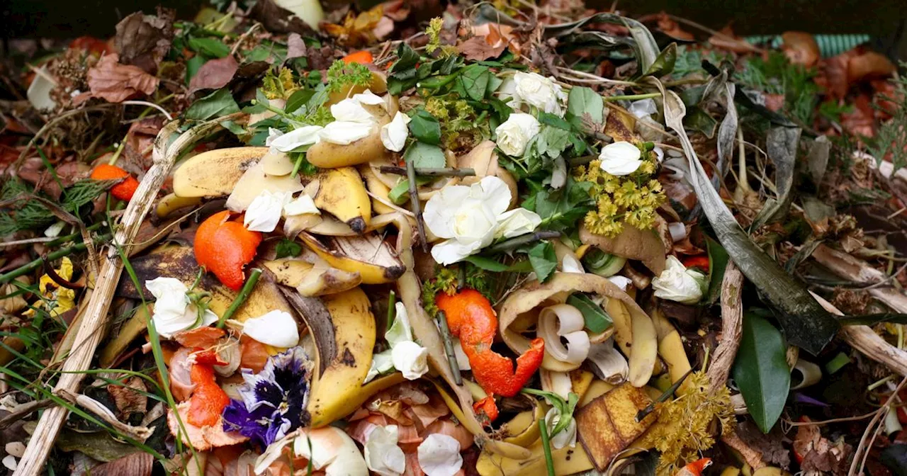 Lancashire bin shake-up incoming as households told to split food waste