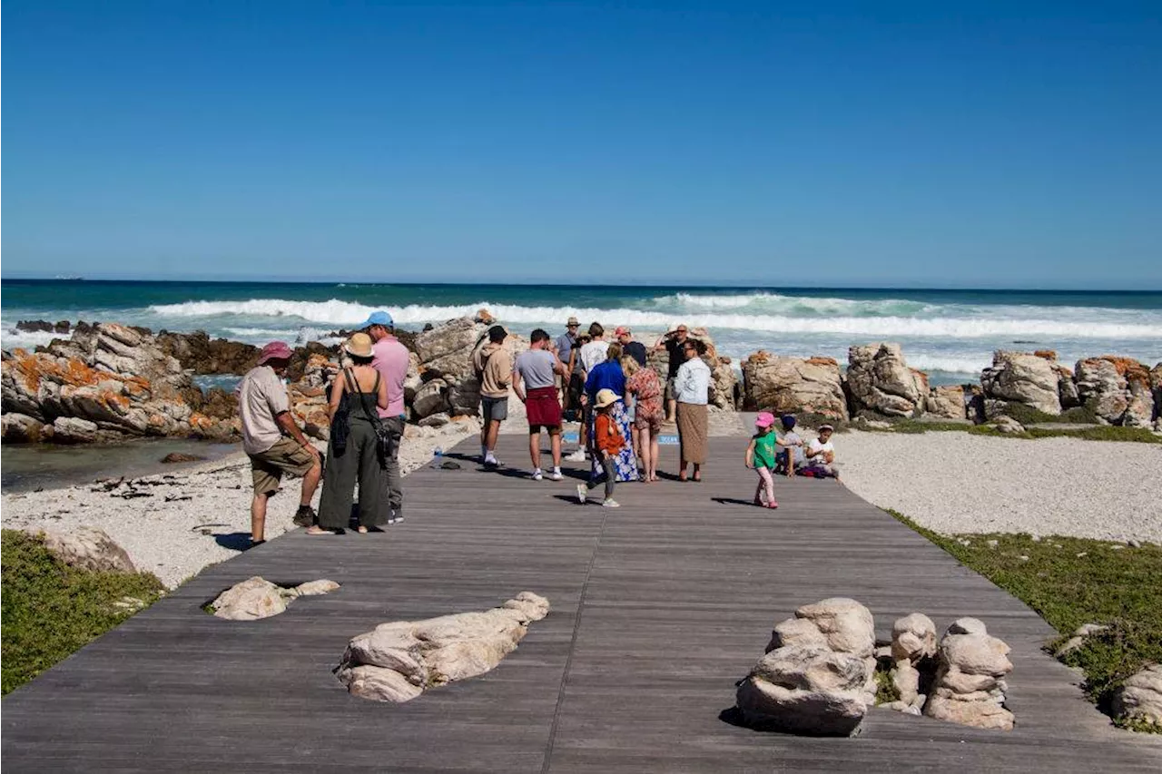 South Africa's tourism potential yet to be harnessed