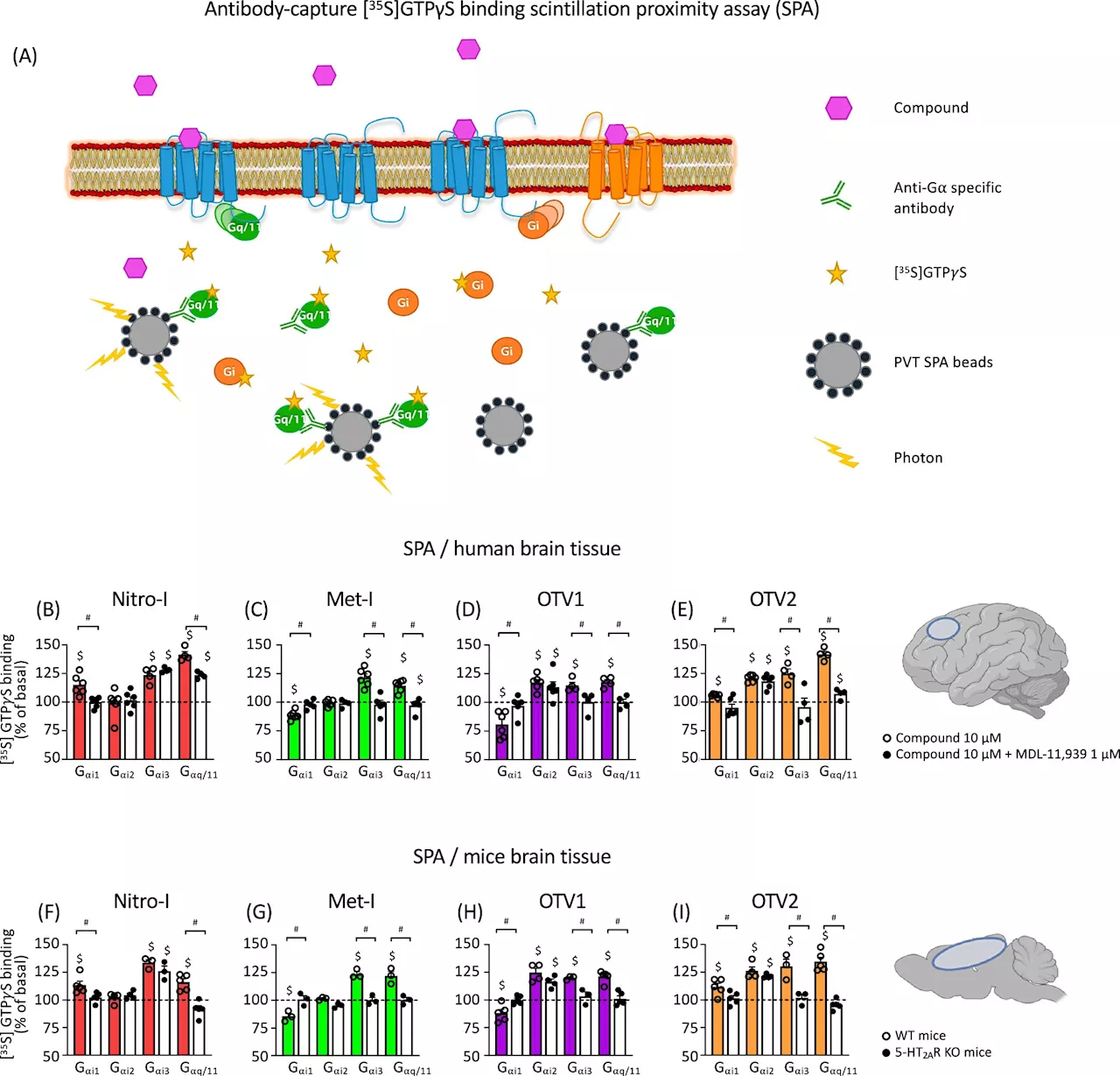 New avenues to developing personalized treatments for schizophrenia