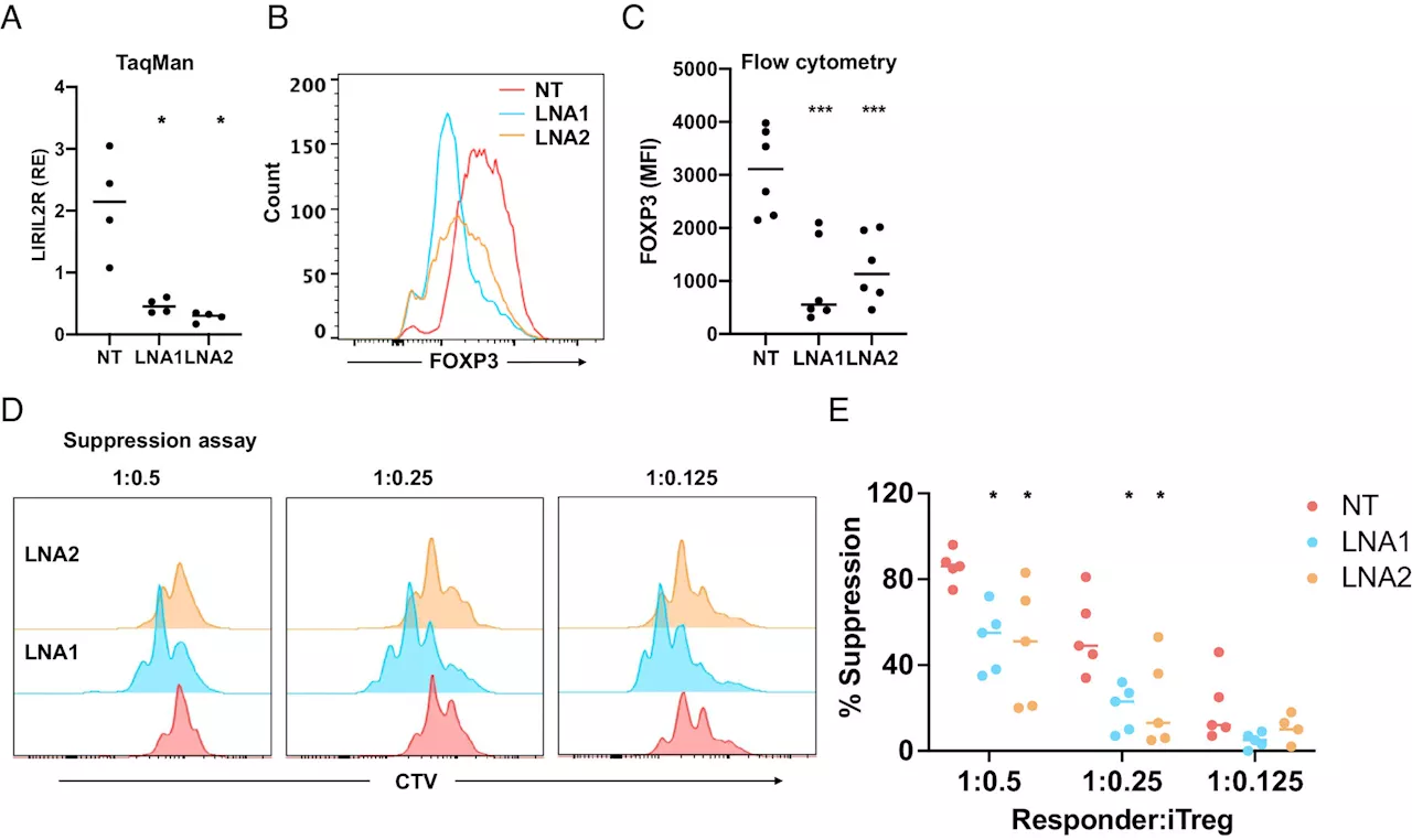 Scientists discover a novel modulator of human regulatory T cells