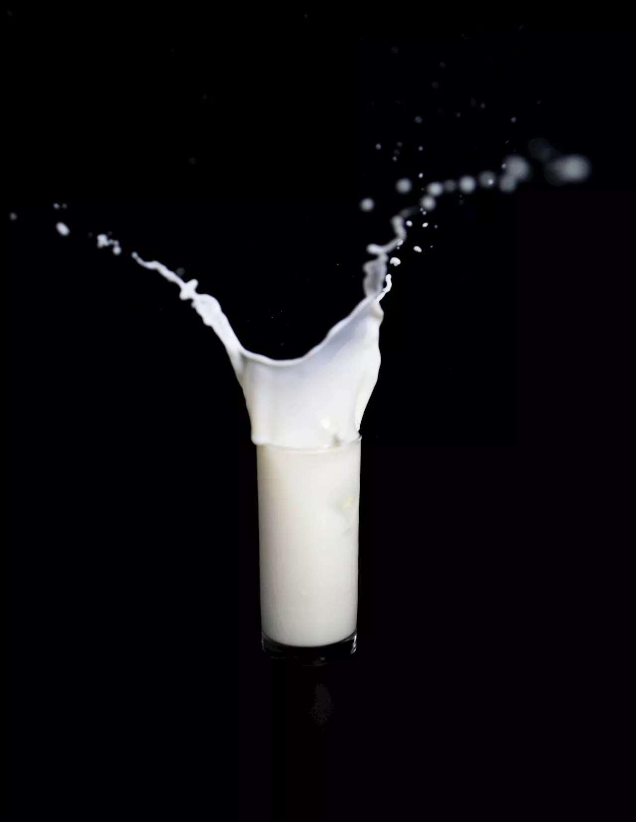 Dairy companies raise awareness on milk consumption for balanced diet