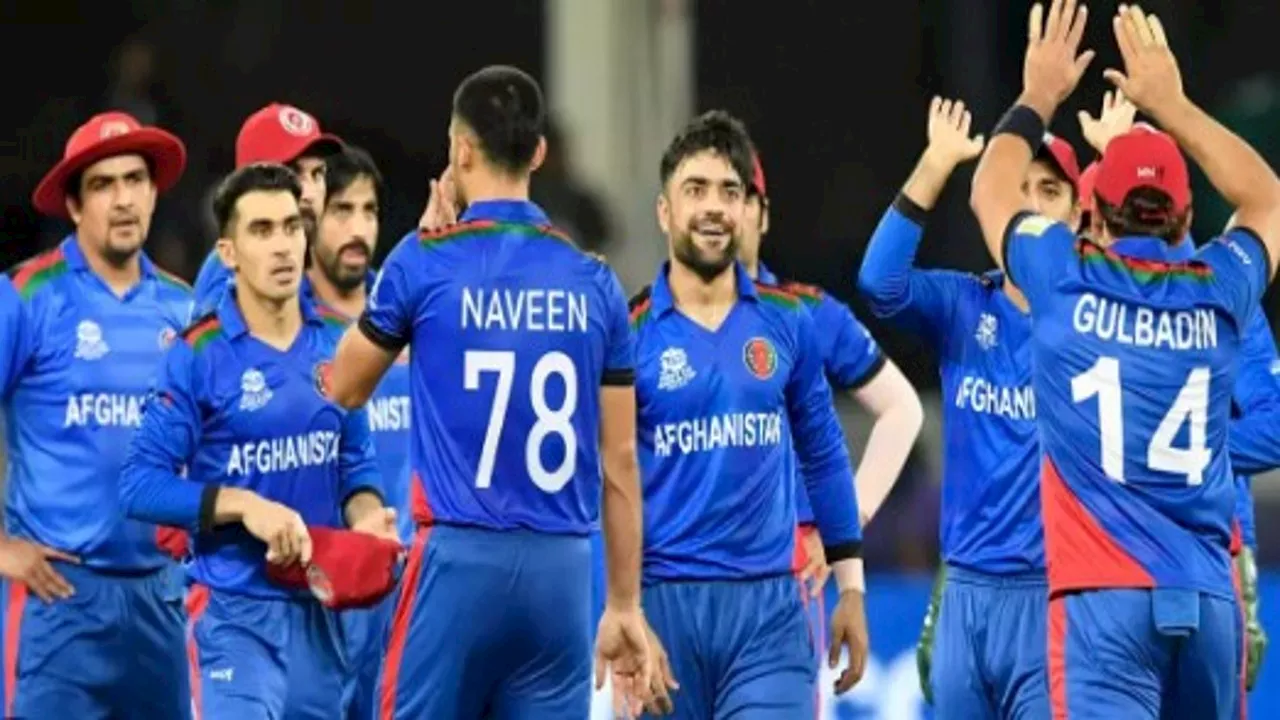 ये 5 अफगानी खिलाड़ी जो T20 World Cup 2024 में टीमों के लिए बनेंगे खतरा, ICC इवेंट में पाकिस्तान को चटा चुके हैं धूल