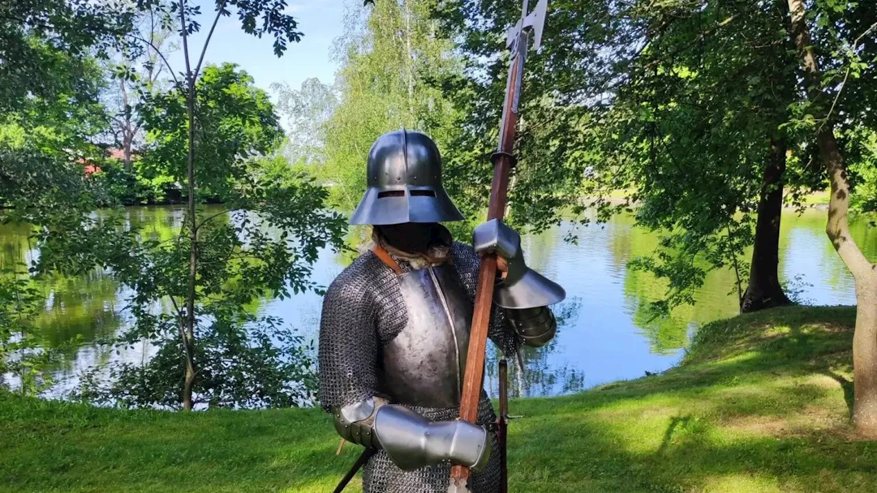 Junge Vorlesung mit einem Ritter von der schwärmerischen Gestalt