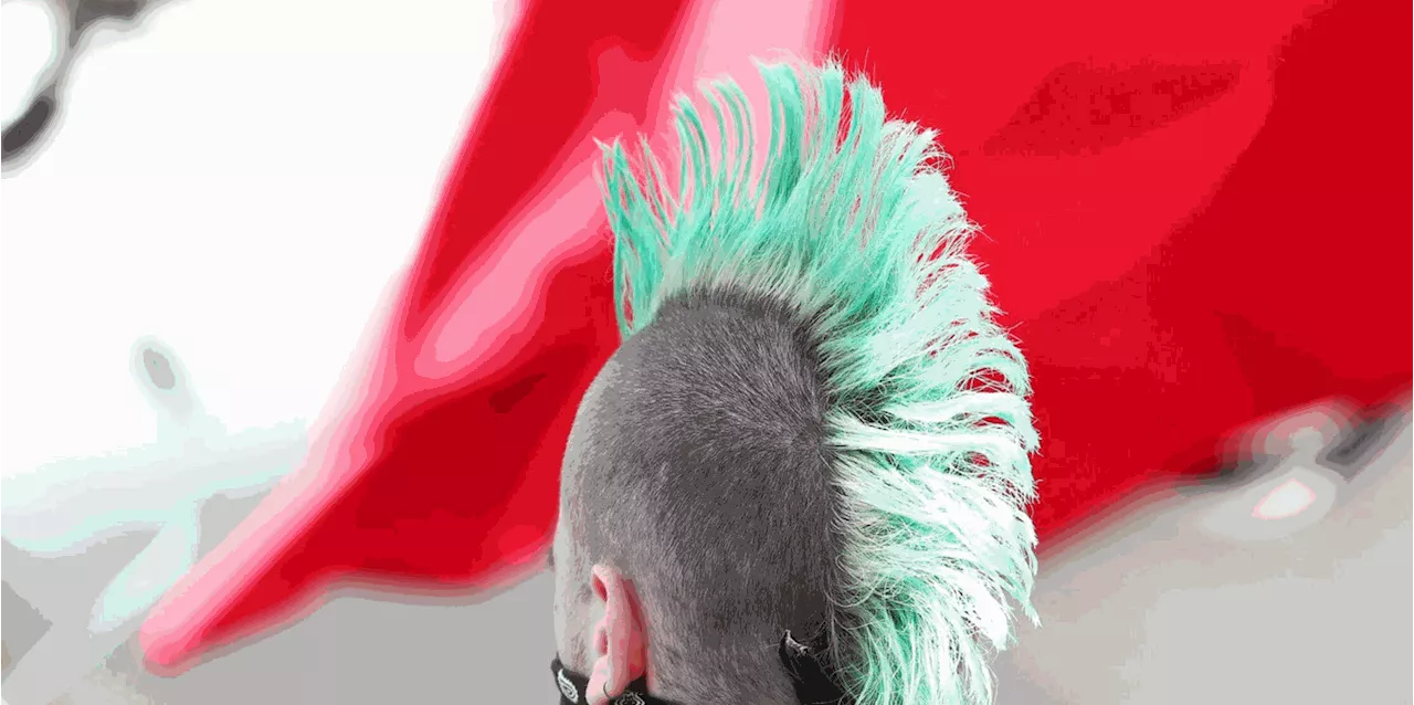 Punks planen am Wochenende Demos auf Sylt