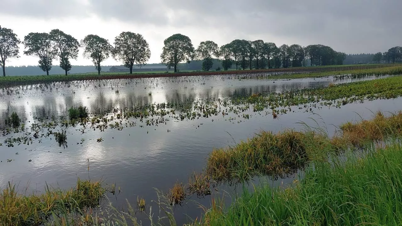 Frustraties bij bewoners door wateroverlast: 'Sfeer wordt soms grimmiger'