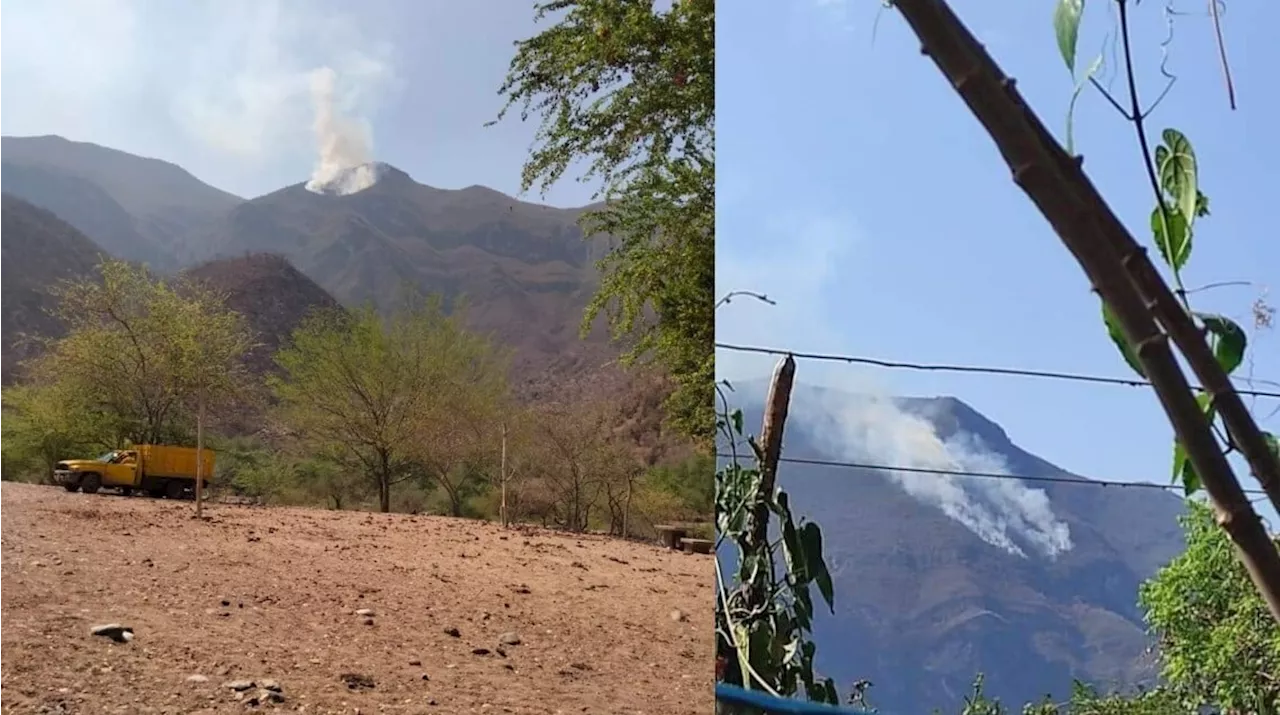 Pese a lluvias, se incendia Centro Ecoturístico El Platanal en Xichú; fuego sigue extendiéndose