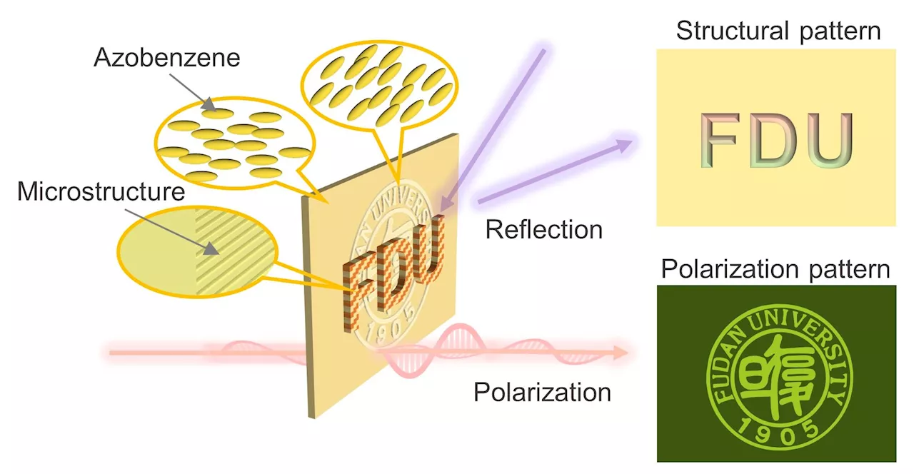 New anti-counterfeit technique packs two light-reactive images into one material