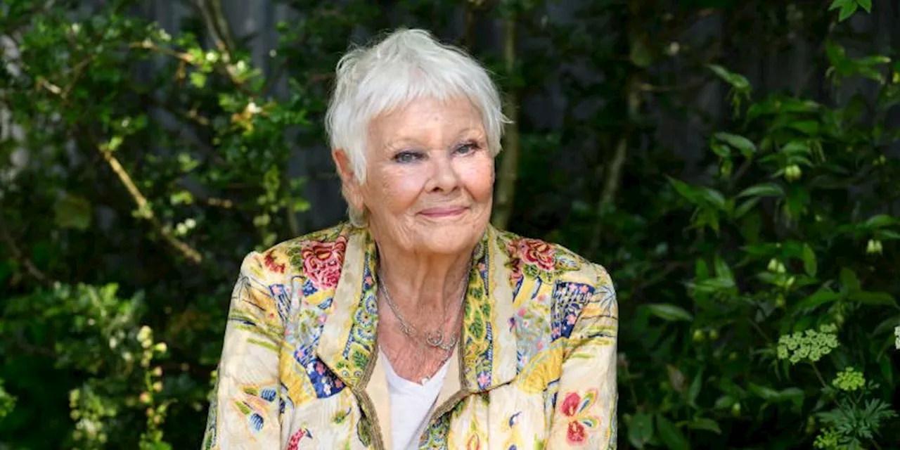 Judi Dench, 89, May Retire From Acting Amid Vision Loss: All About Her Health