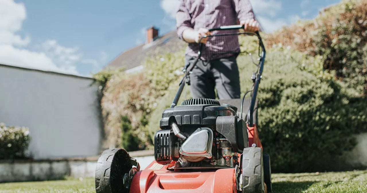 How often we should water the grass as expert warns not to rely on rain