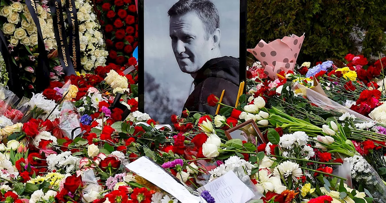 Navalny allies urge sanctions on Putin allies over opposition leader's death