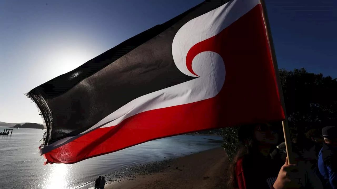 Māori population hit 978,246 in 2023, almost 20 per cent of New Zealand