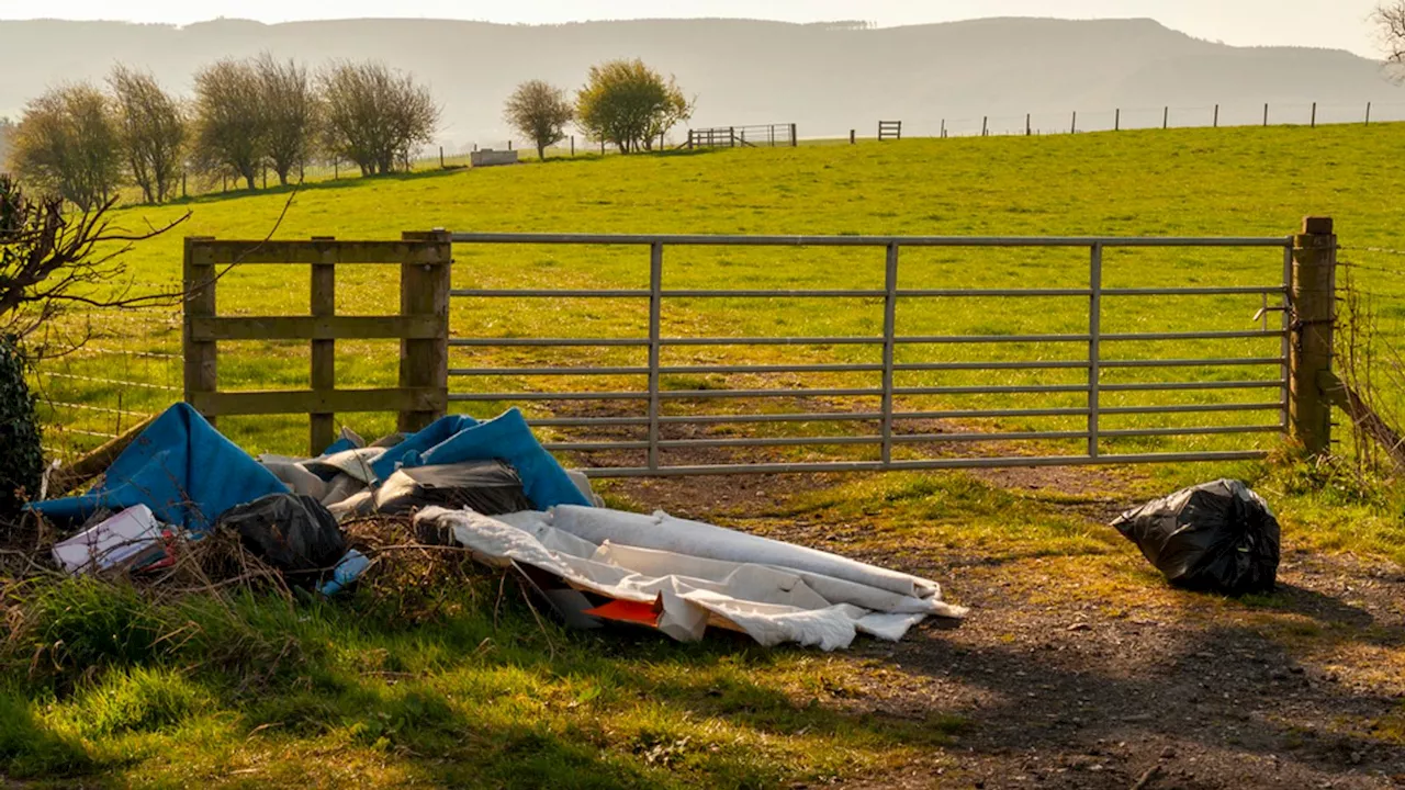 Fly-tippers to get points on driving licences and nuisance tenants will be kicked out under Tory plans