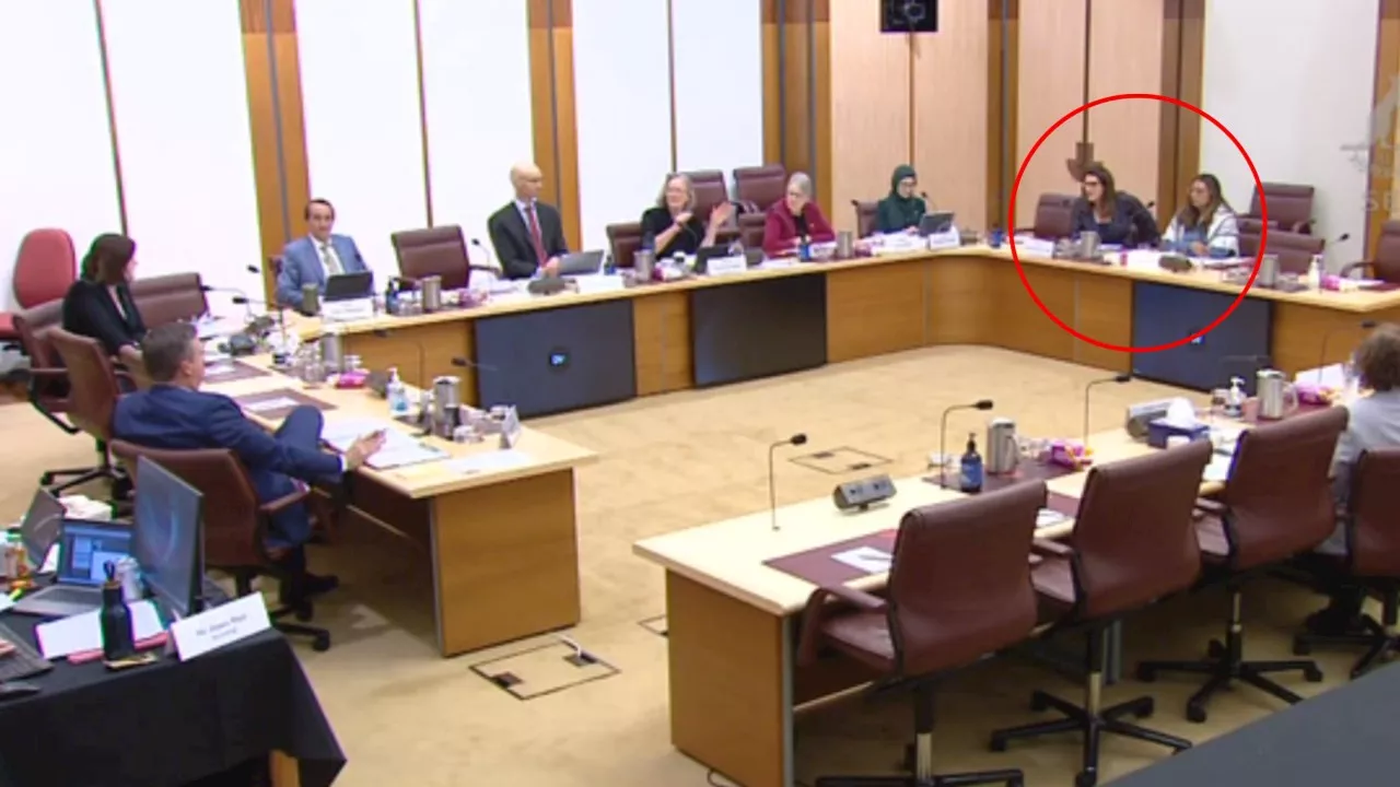 Greens Senators’ heated outburst at ABC Senate estimates