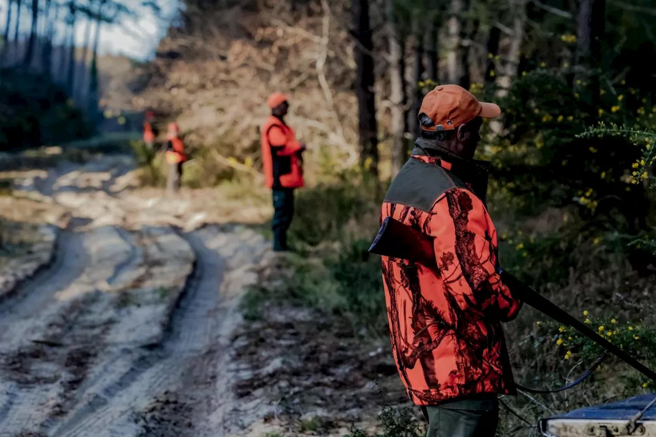 Suspension des battues dans les Landes : le Modef conteste la décision prise par les chasseurs