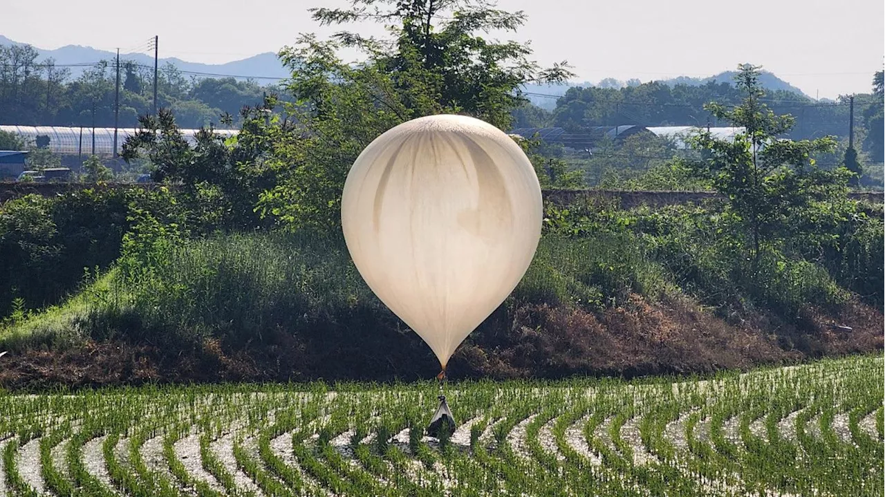 Mit Müll und Exkrementen: Verschärfen Luftballons den Konflikt zwischen Nord- und Südkorea?