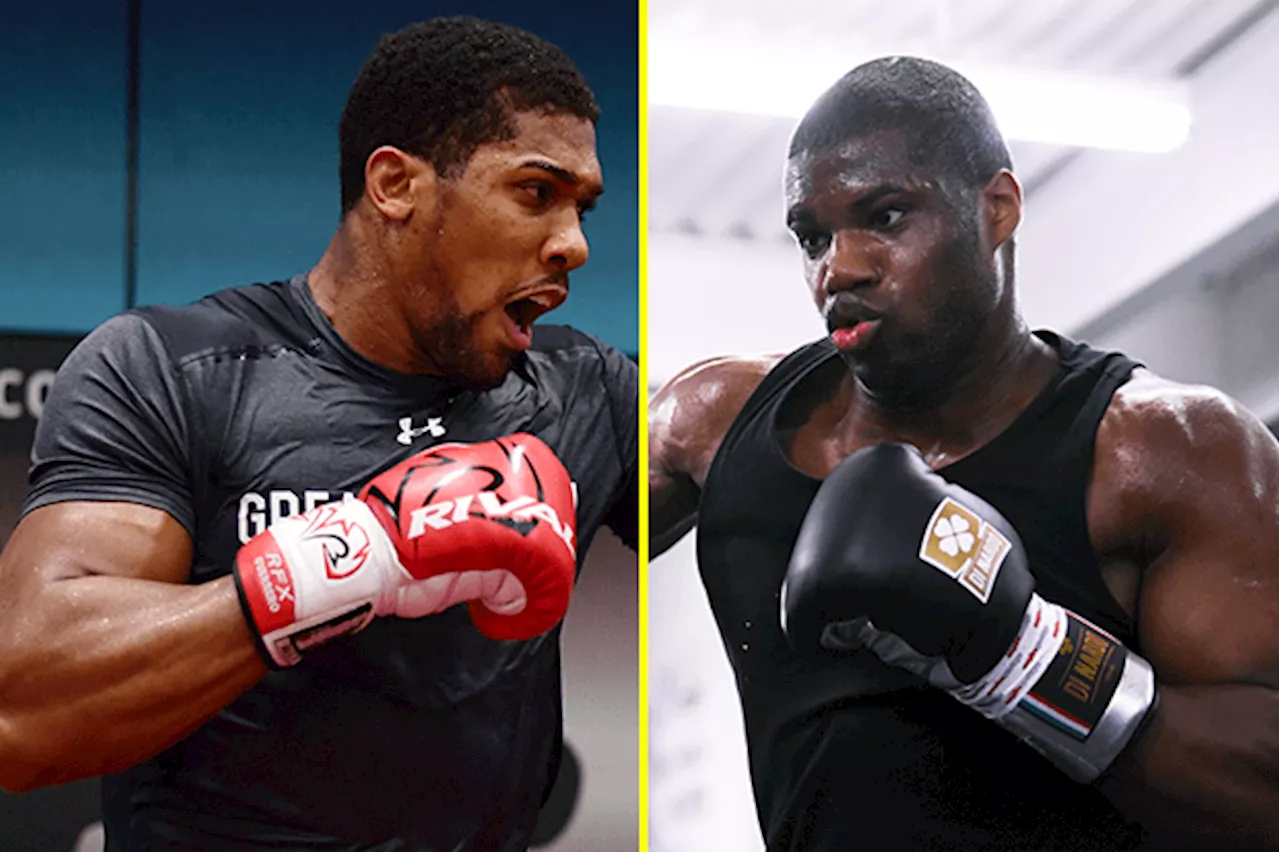 Daniel Dubois coy about knocking out Anthony Joshua in sparring but shuts down Filip Hrgovic claims...