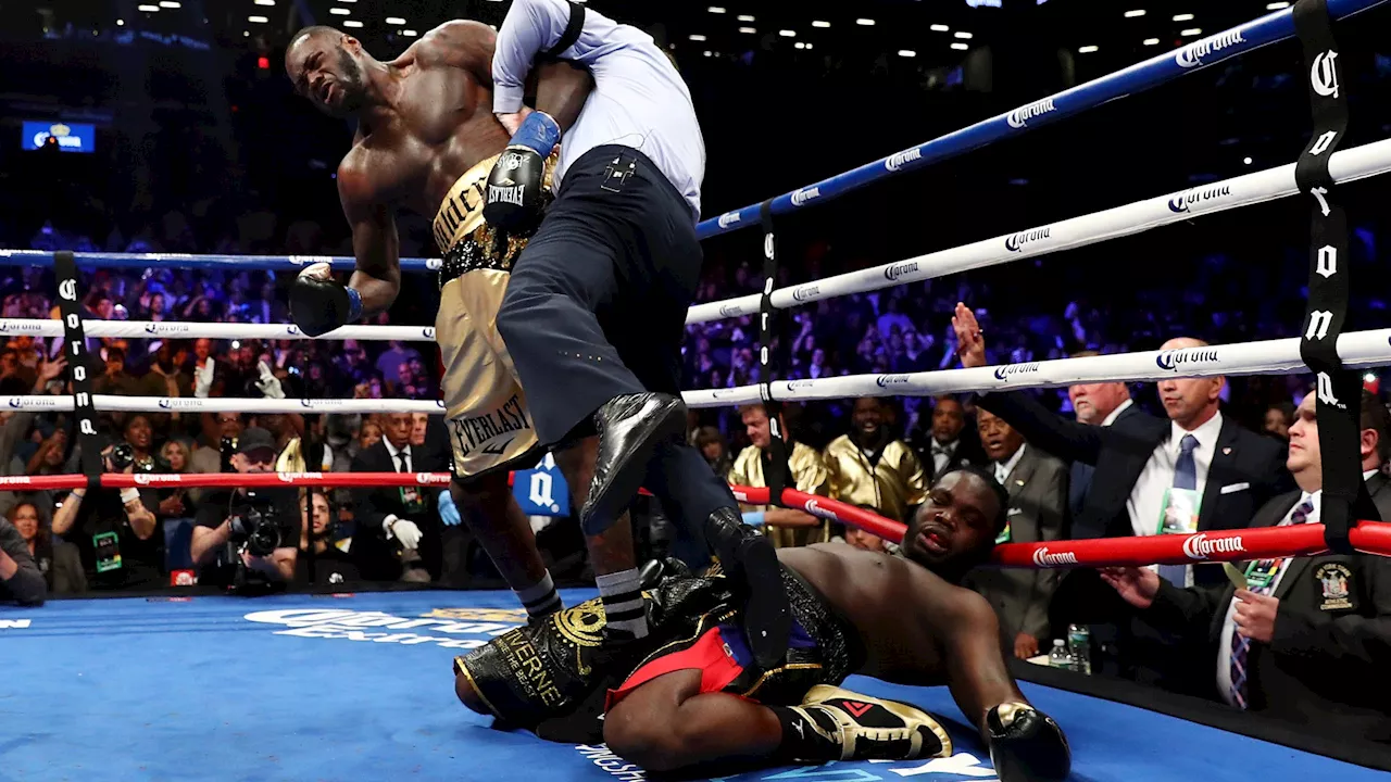 Deontay Wilder punched Bermane Stiverne through the ropes in brutal yet farcical knockout in 2017 rematch...