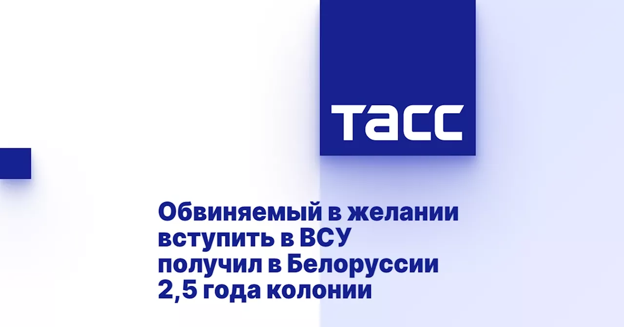 Обвиняемый в желании вступить в ВСУ получил в Белоруссии 2,5 года колонии