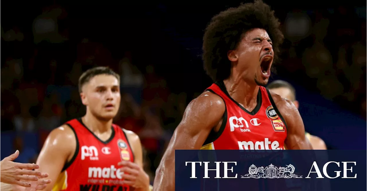 Craig Hutchison’s sports empire offered $40m to sell Perth Wildcats