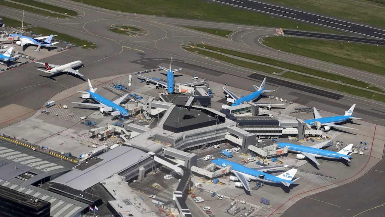 Amsterdam airport worker ‘died after intentionally climbed into plane engine’