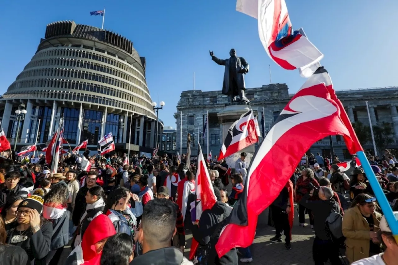 New Zealanders protest 'anti-Maori' govt policies