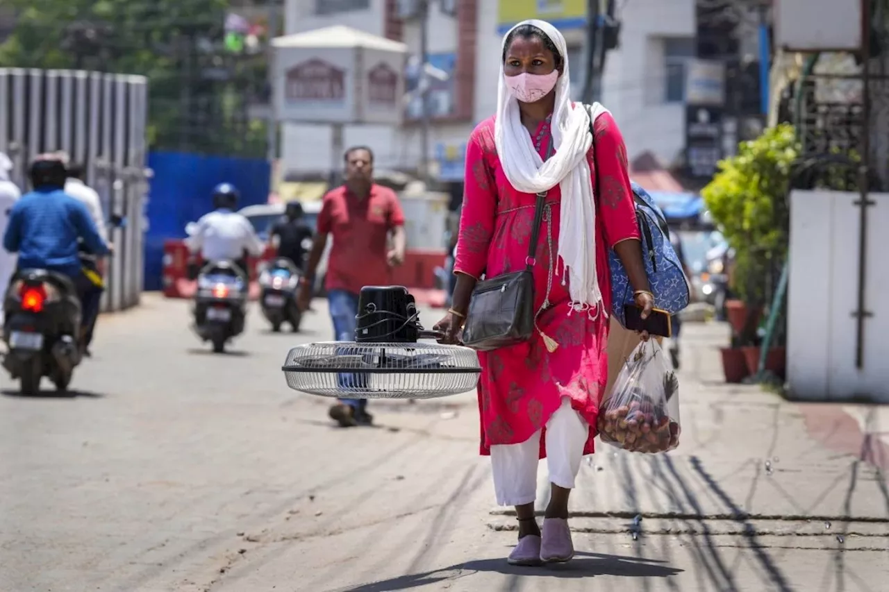 Weeks of sweltering heat scorch northern India