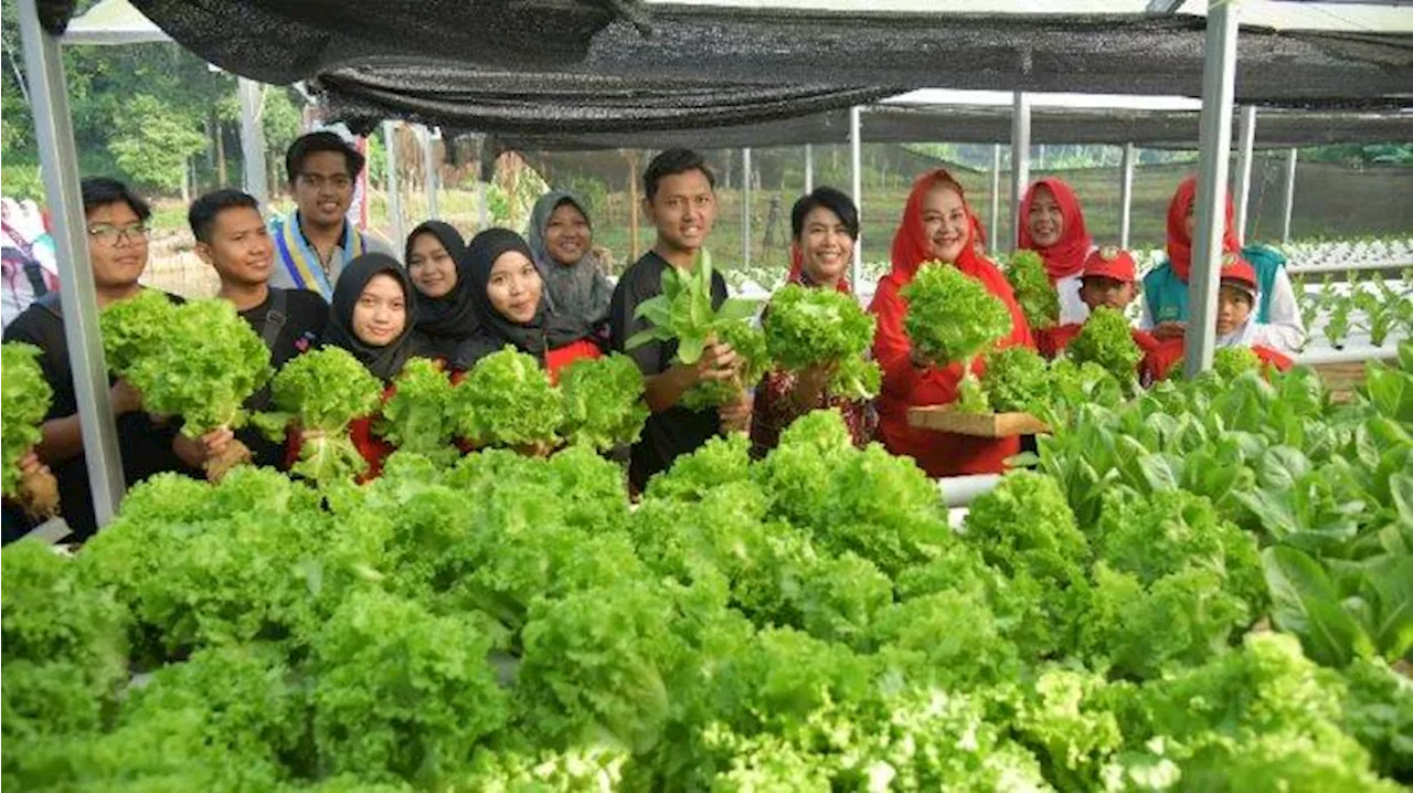 Dorong Munculnya Petani-petani Muda, Mbak Ita Ajak Generasi Muda menjadi Agen Ketahanan Pangan