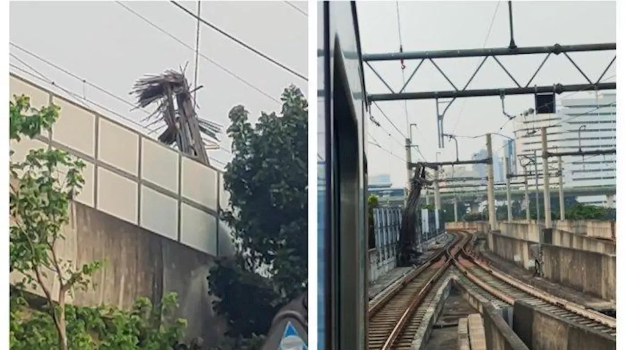 Crane: Hutama Karya Lakukan Penyelidikan Atas Jatuhnya Besi Crane Di ...