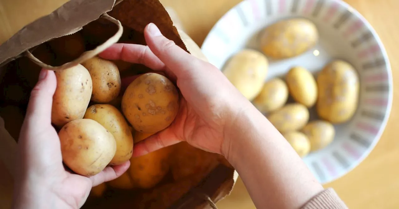 Gut zu essen: Was in Erdäpfeln steckt und wie Bratkartoffeln knusprig werden