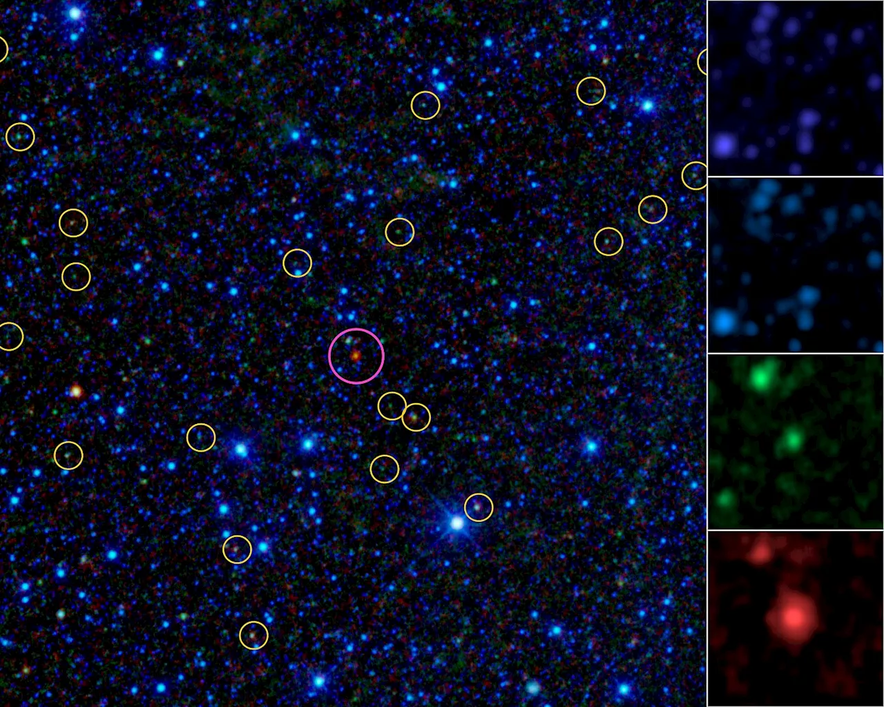 There's Another, More Boring Explanation for those Dyson Sphere Candidate Stars