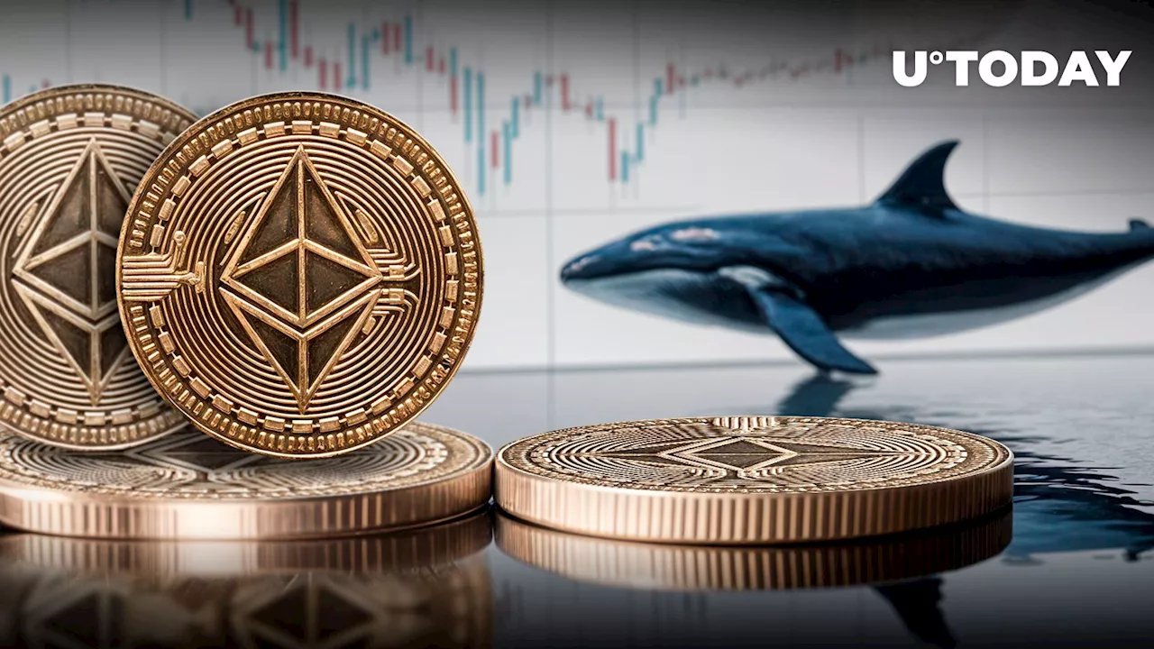 Ethereum Whales Go Bullish as ETH Holdings Skyrocket