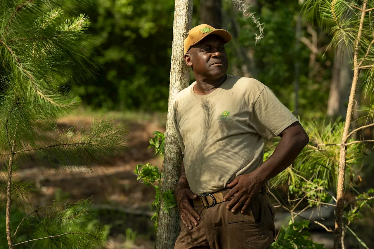 A Black farmer in South Carolina cultivates culture, history — and rice