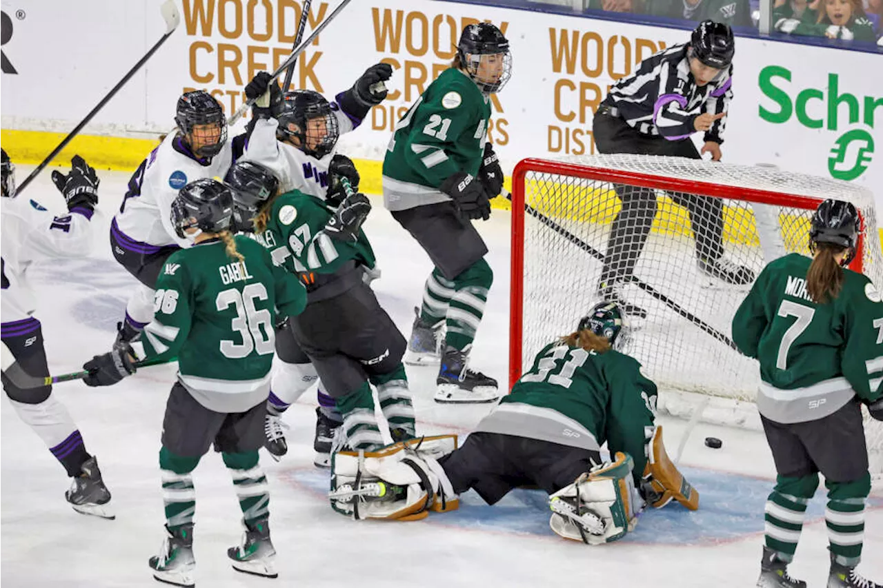 Minnesota beats Boston 3-0, wins inaugural Professional Women's Hockey League championship