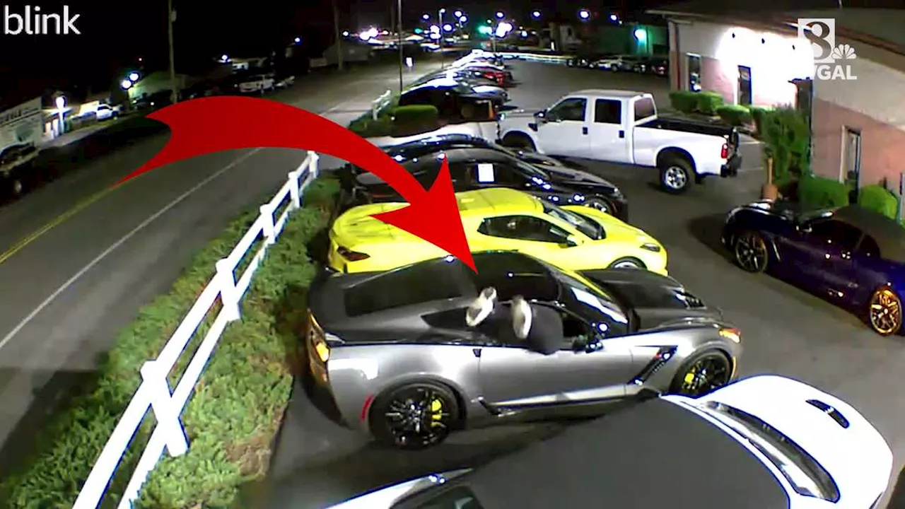 Video captures suspect smashing window, diving into Corvette, then running from police in Lancaster County