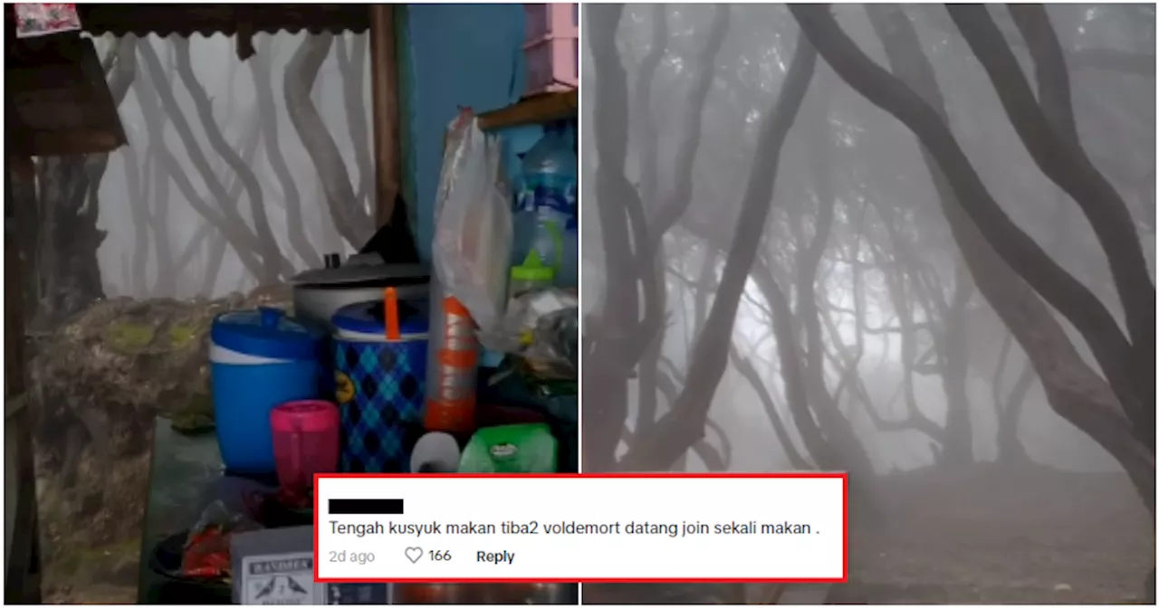 Indonesia Forest that Resembles 'Forbidden Forest' Behind a Warung is Sending Harry Potter Fans Into Frenzy!