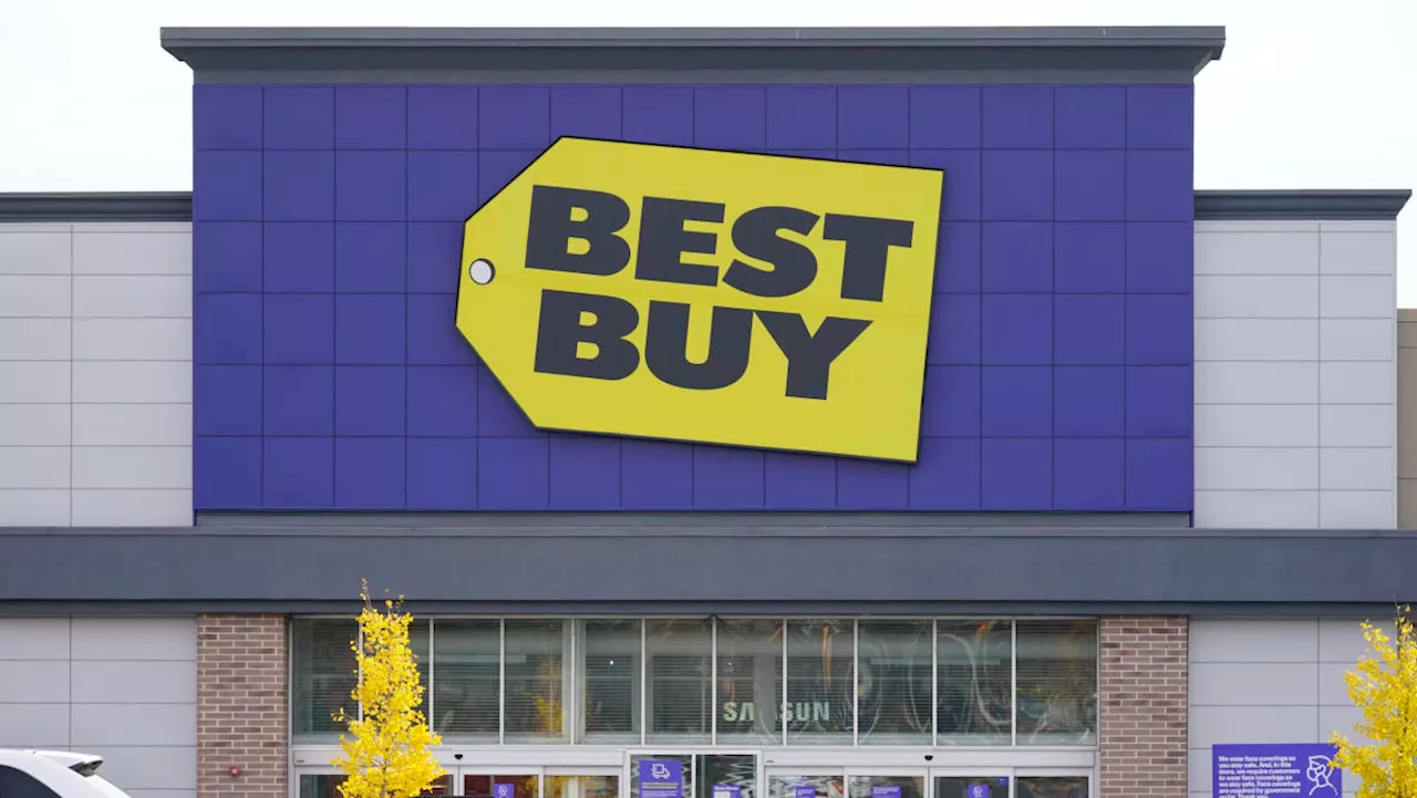 Best Buy 'controlled what they could' in Q1: Analyst