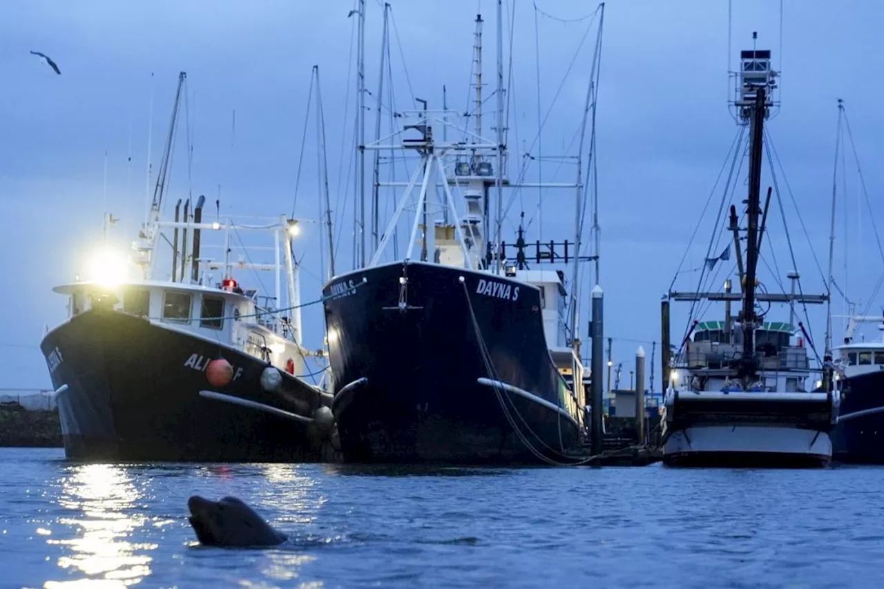Takeaways from The Associated Press' reporting on seafarers who are abandoned by shipowners in ports