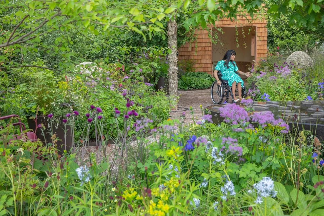 Horatio's Garden: Work starts on garden at Princess Royal Spinal Injuries Centre Unit in Sheffield