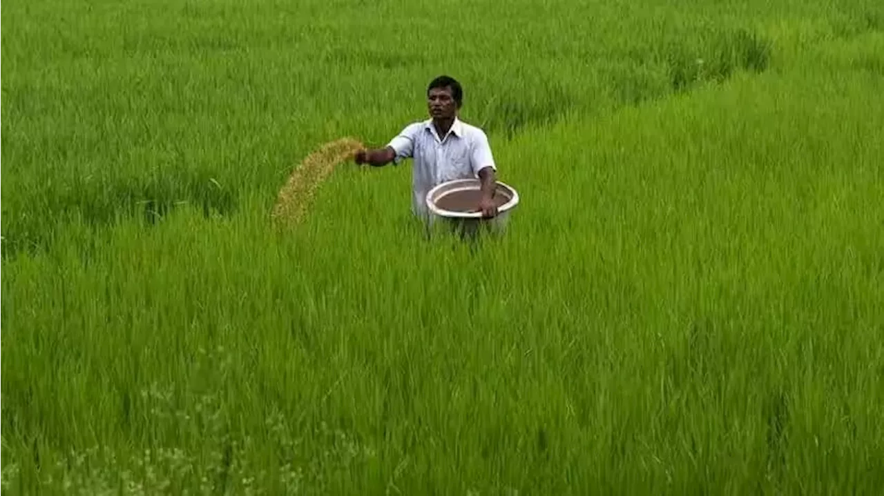 ರೈತರು ಬೆಳೆ ವಿಮೆಗೆ ನೋಂದಾಯಿಸಿಕೊಳ್ಳಲು ಡೆಡ್ ಲೈನ್ ನಿಗದಿ