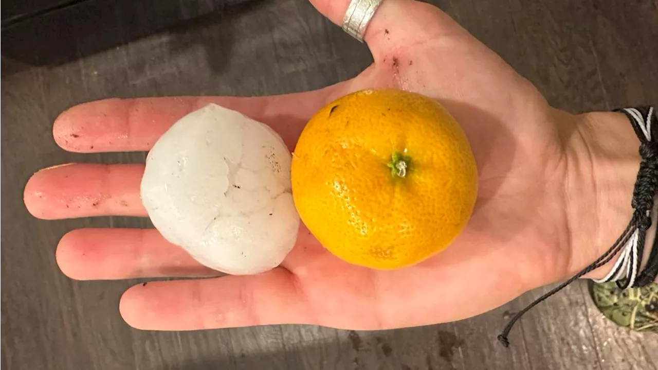 Here's how big the hail was that hit the Denver area