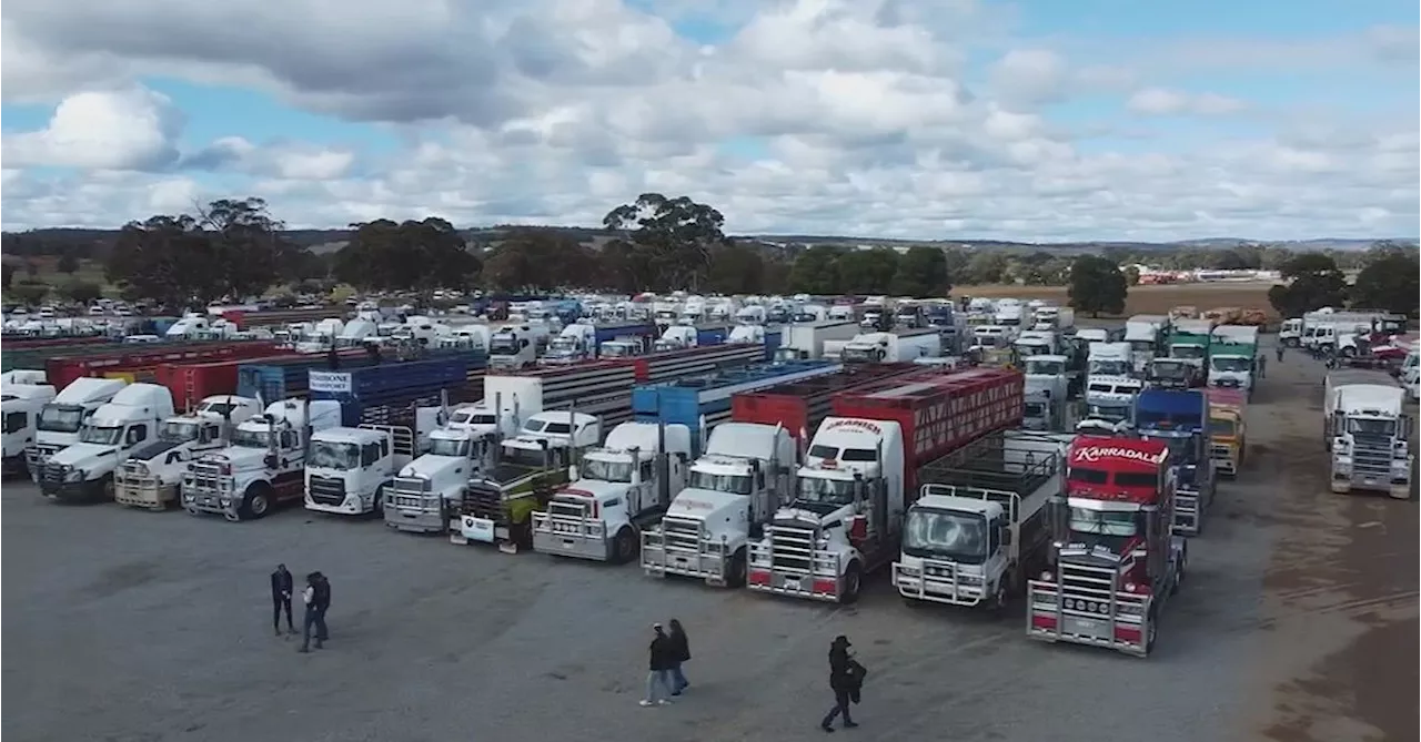 Thousands of Western Australian farmers protest live sheep export ban