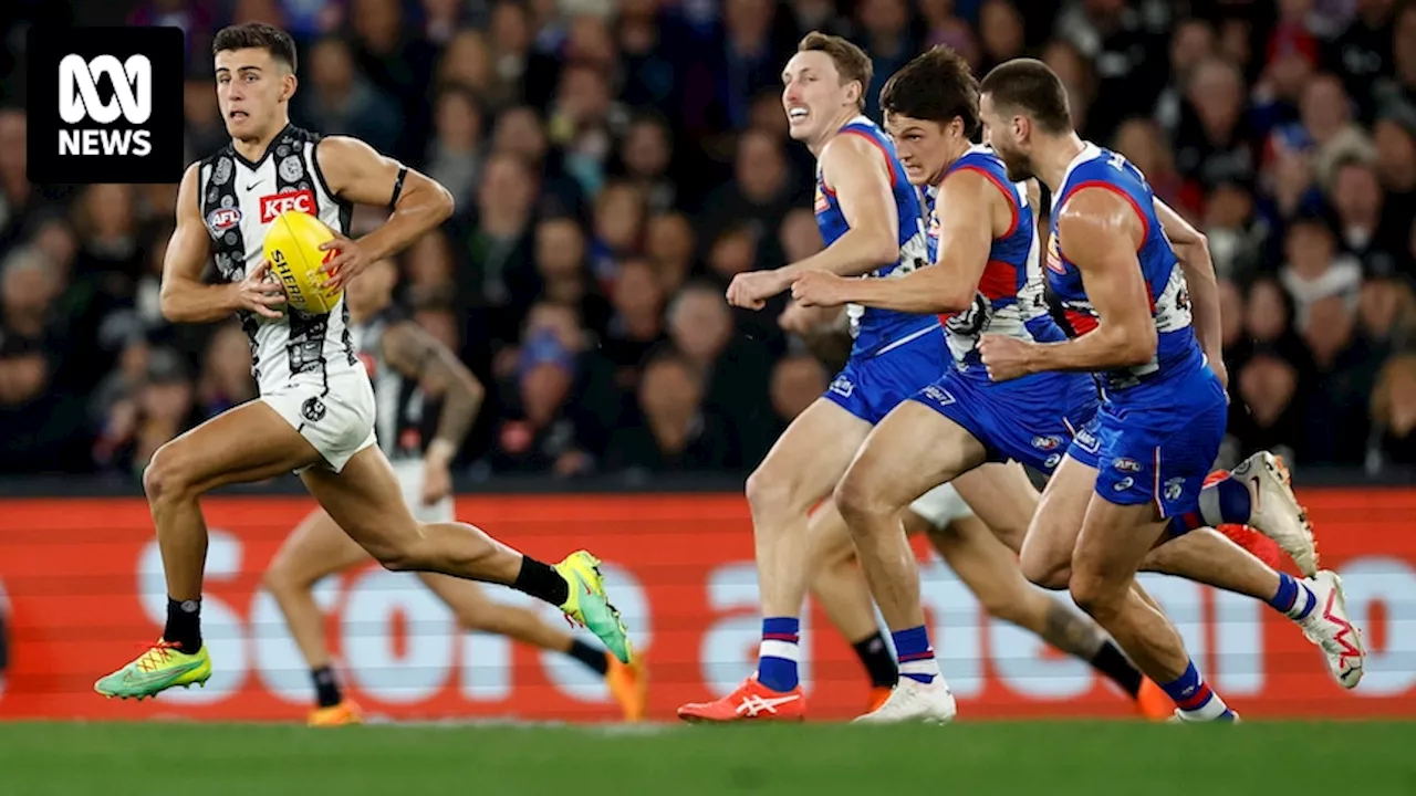 AFL Collingwood vs Western Bulldogs round 12 live updates — blog, scores and stats from Docklands Stadium