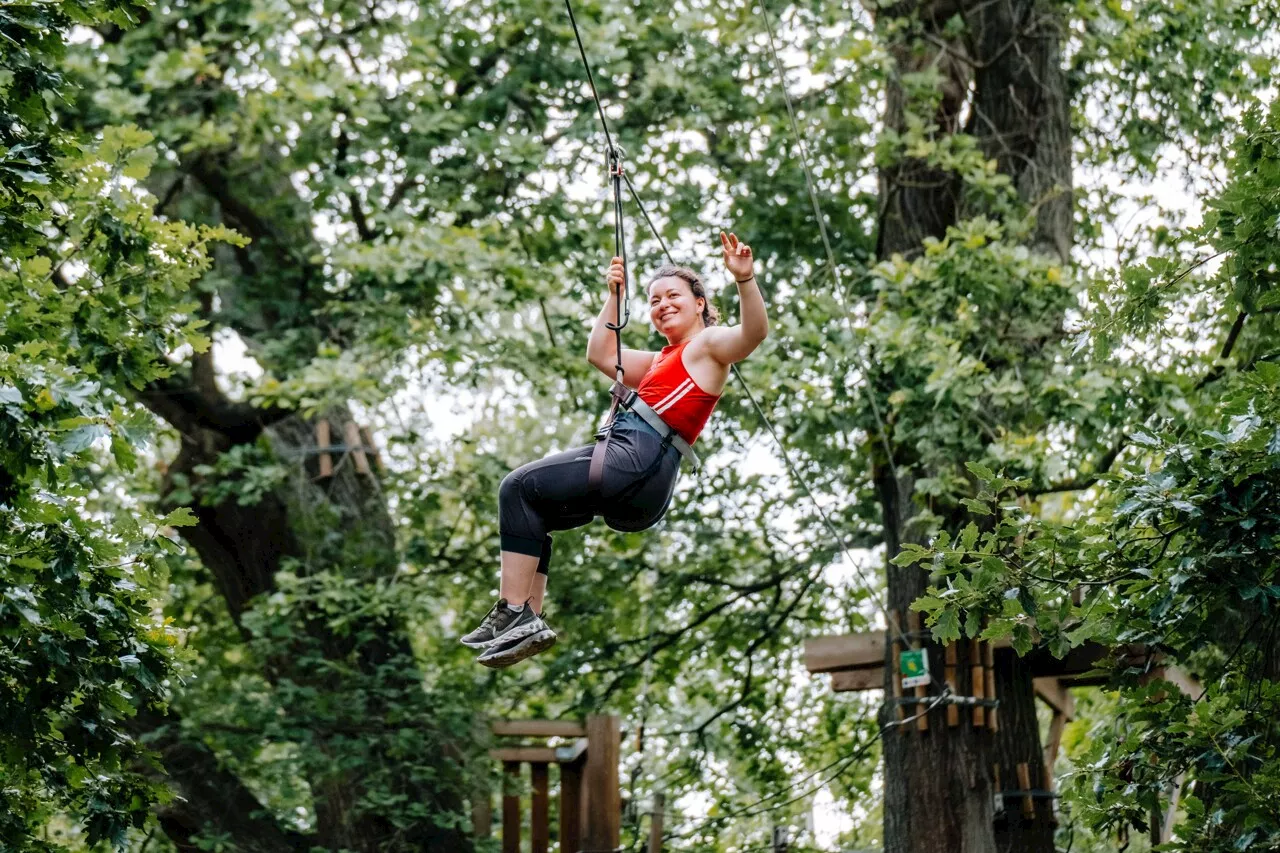 Un nouveau parc d'accrobranche ouvre dans Toulouse, avec sept parcours !