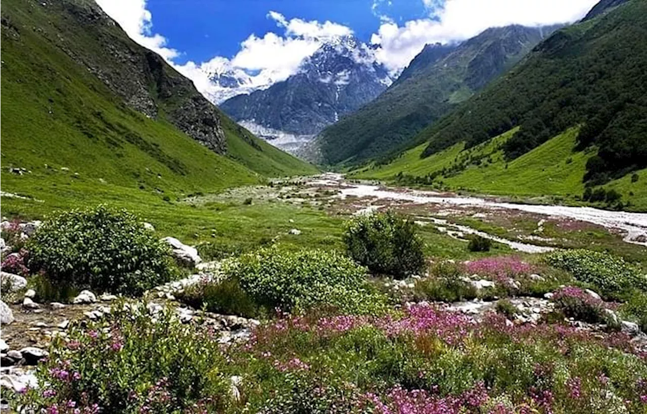 Uttarakhand : आज पर्यटकों के लिए खुल जाएगी विश्व विख्यात फूलों की घाटी, सुबह 8 बजे रवाना होगा सैलानियों का दल