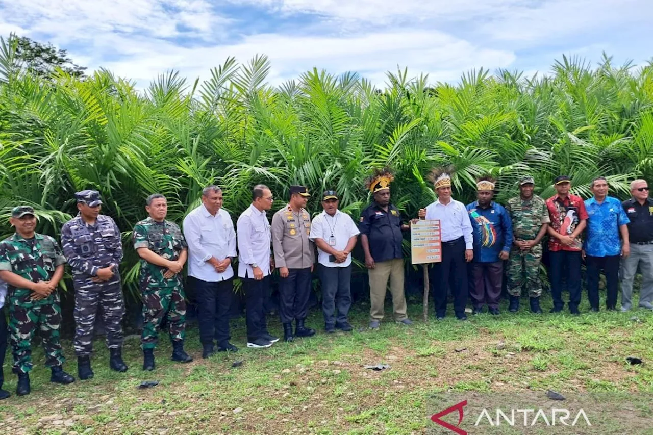 Mentan tinjau pengembangan kelapa sawit di Kabupaten Manokwari