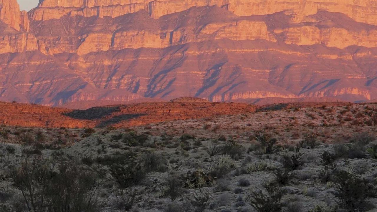 Music Review: Willie Nelson takes it back to Texas, with notes of Mexico, on 'The Border'