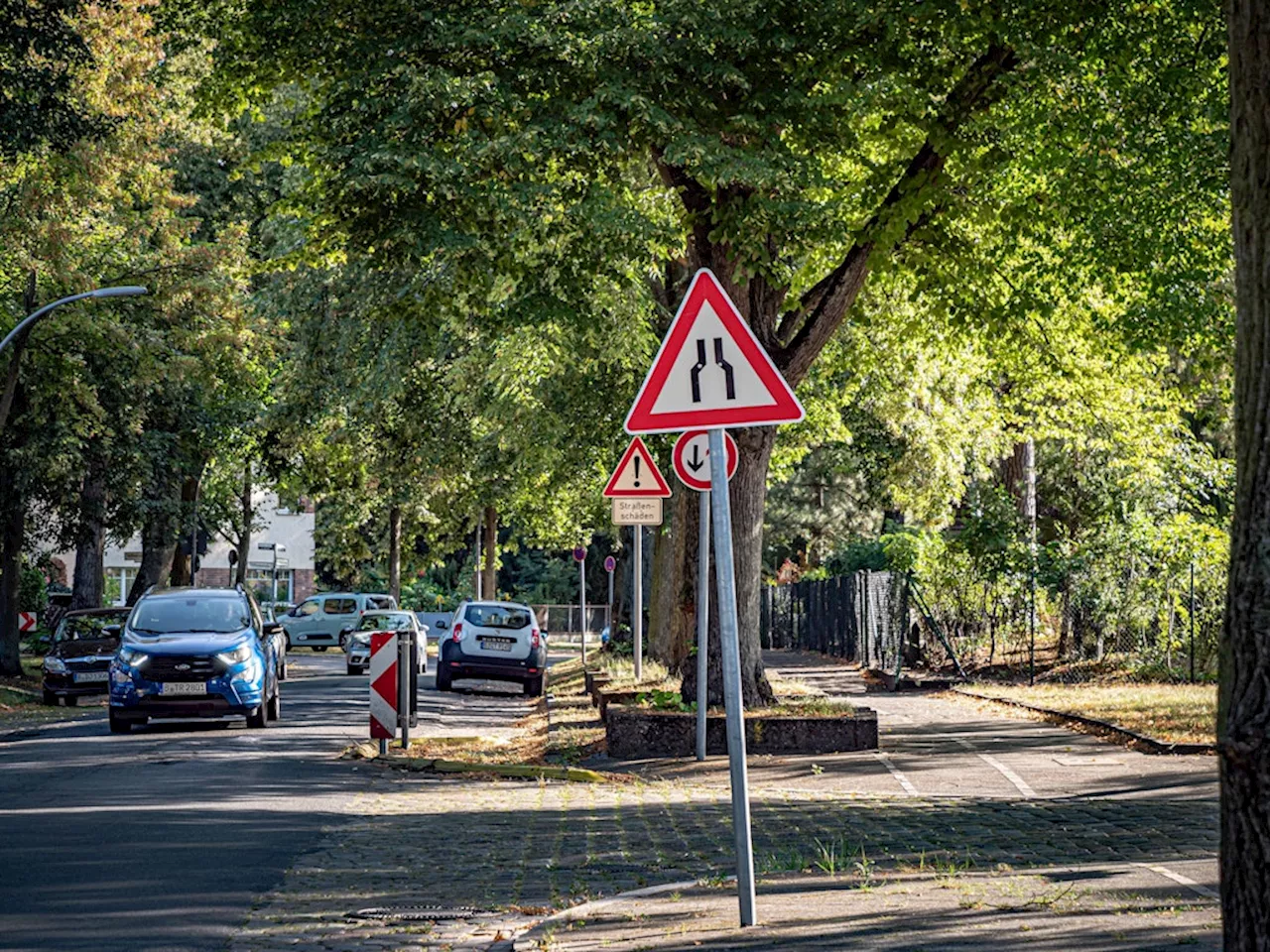 Waldseeviertel in Reinickendorf: Changing Cities verklagt Bezirksamt