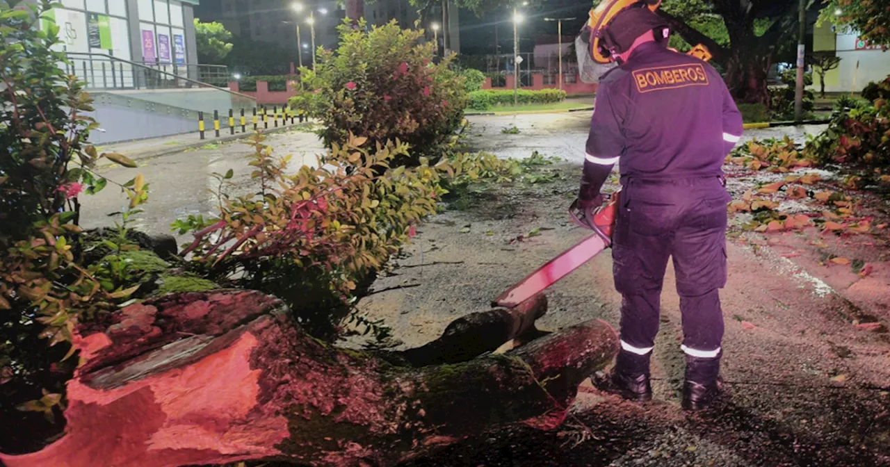 Fuertes lluvias afectan vías y destruyen cultivos en Santander