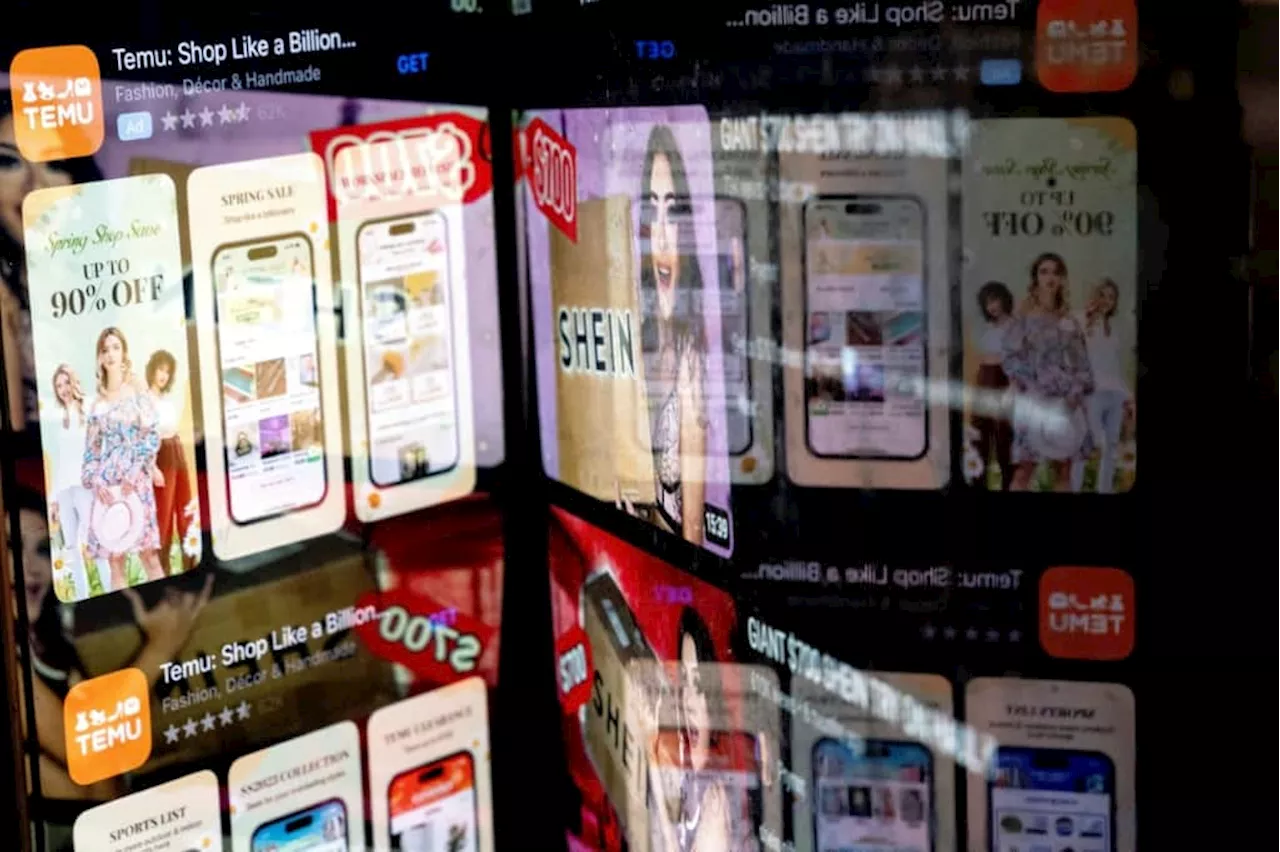 Chinese shopping app Temu faces stricter EU safety rules