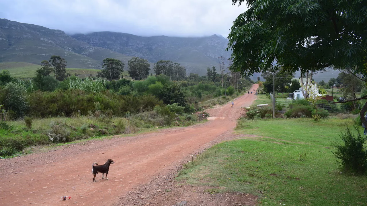 Conditions in Greyton settlement worsen as land restitution process drags on